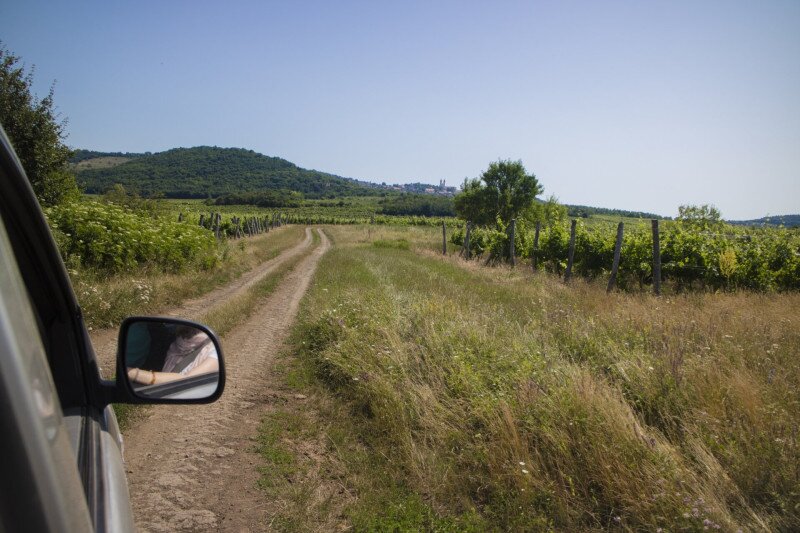 PK_20160624_Tihanyi_levendulafesztival_011
