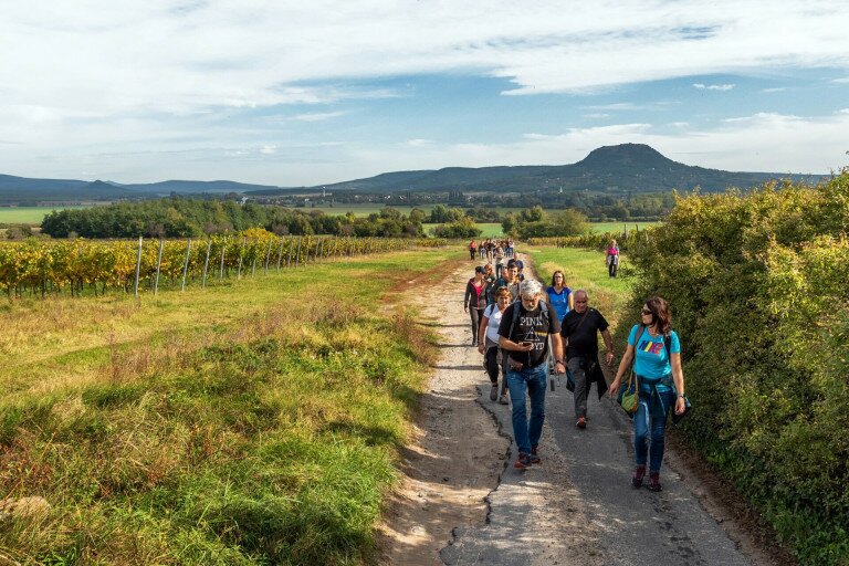 Tematikus túrák a Kéktúrázás Napján 2021-ben is!