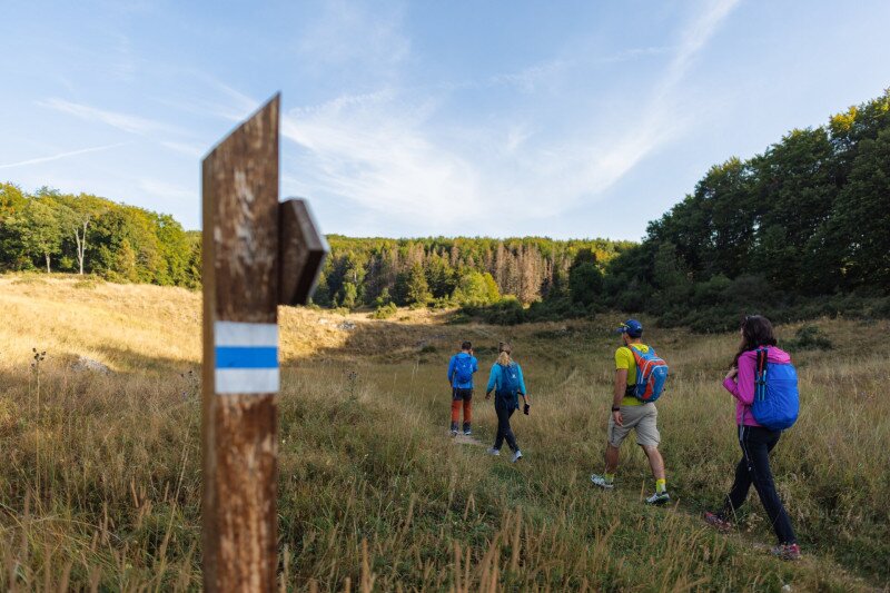 Túrázók a Bükkben, a Zsidó-réten